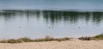 Lekker gewandeld en geluierd aan de zandenplas