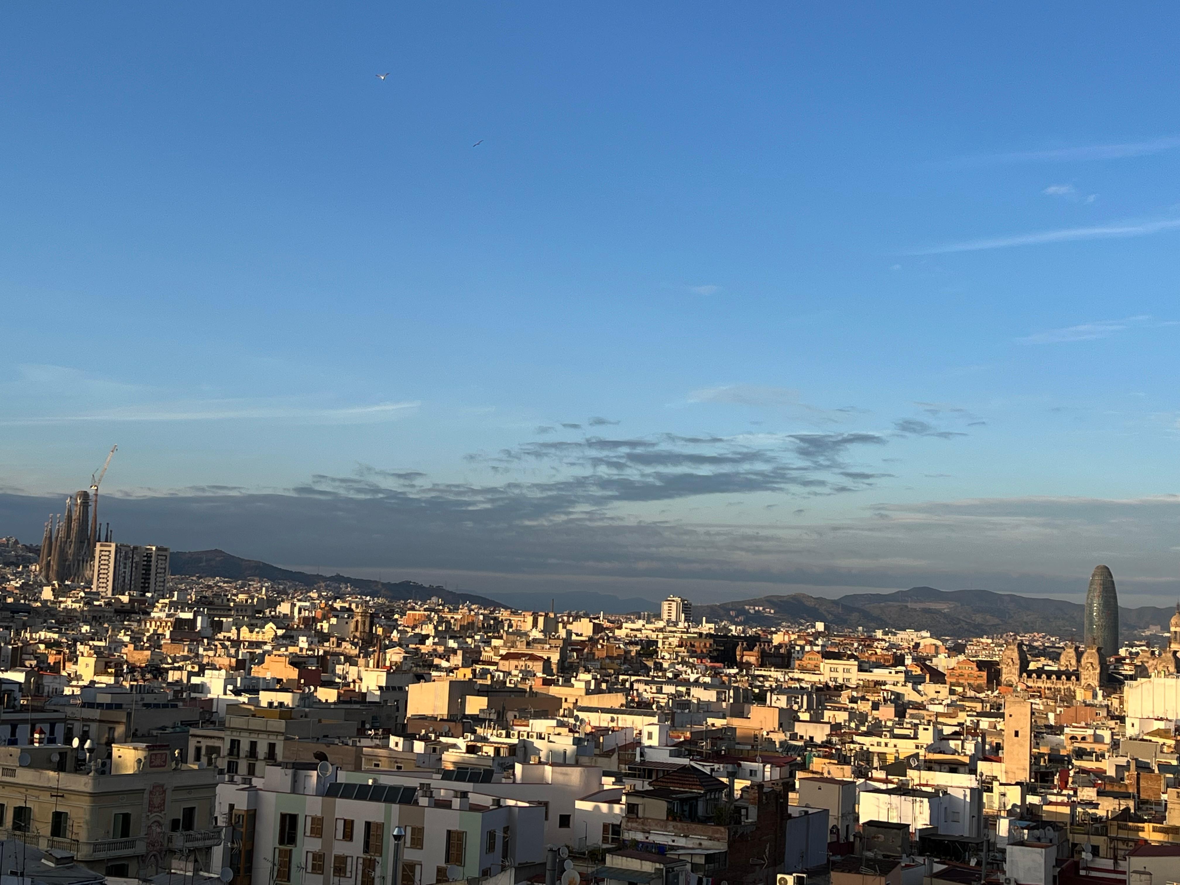 Depuis la terrasse 