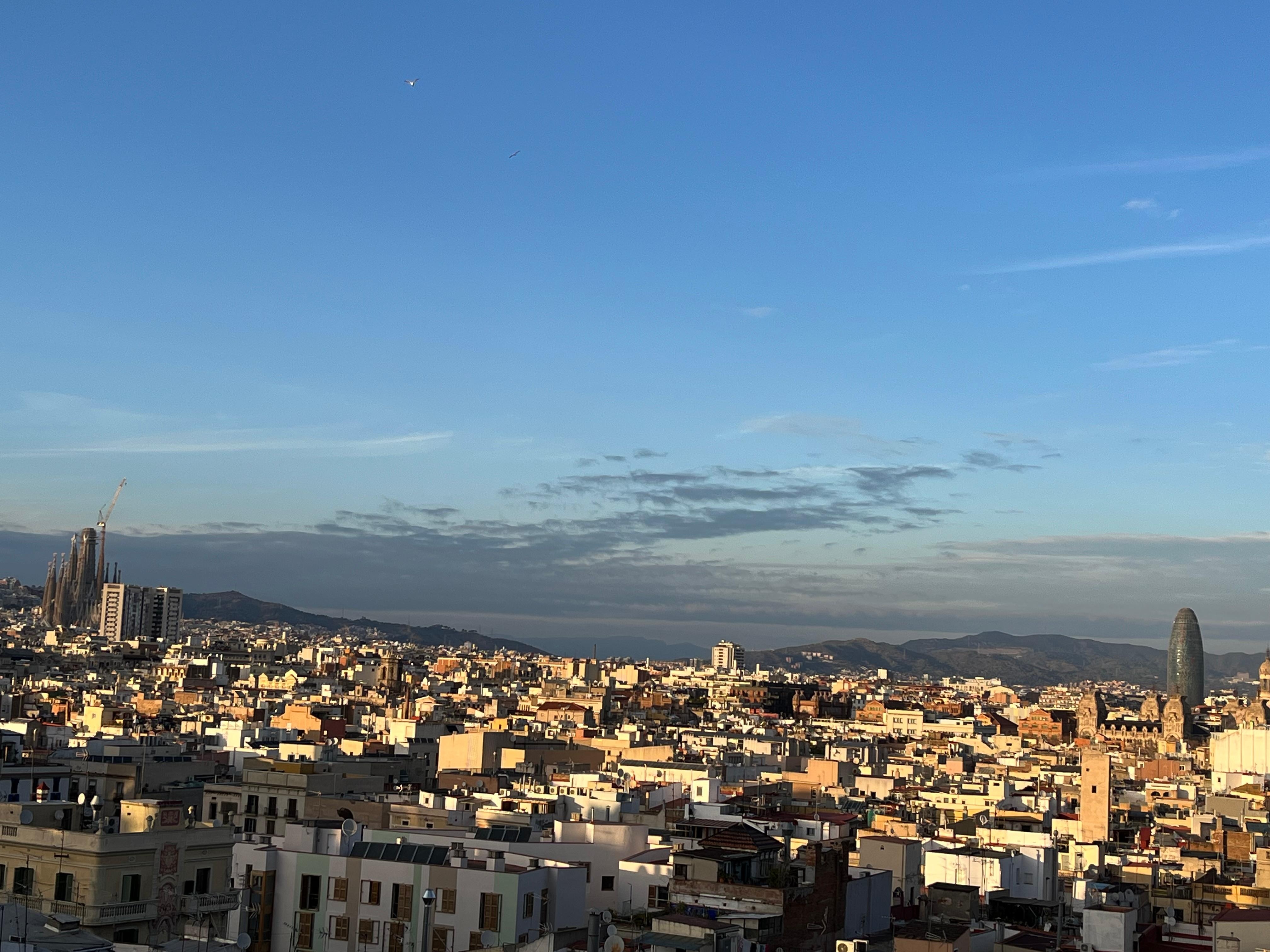 Depuis la terrasse