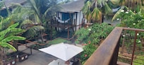 Jardim