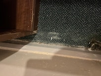 Just don’t know what to say