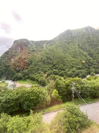 Room view