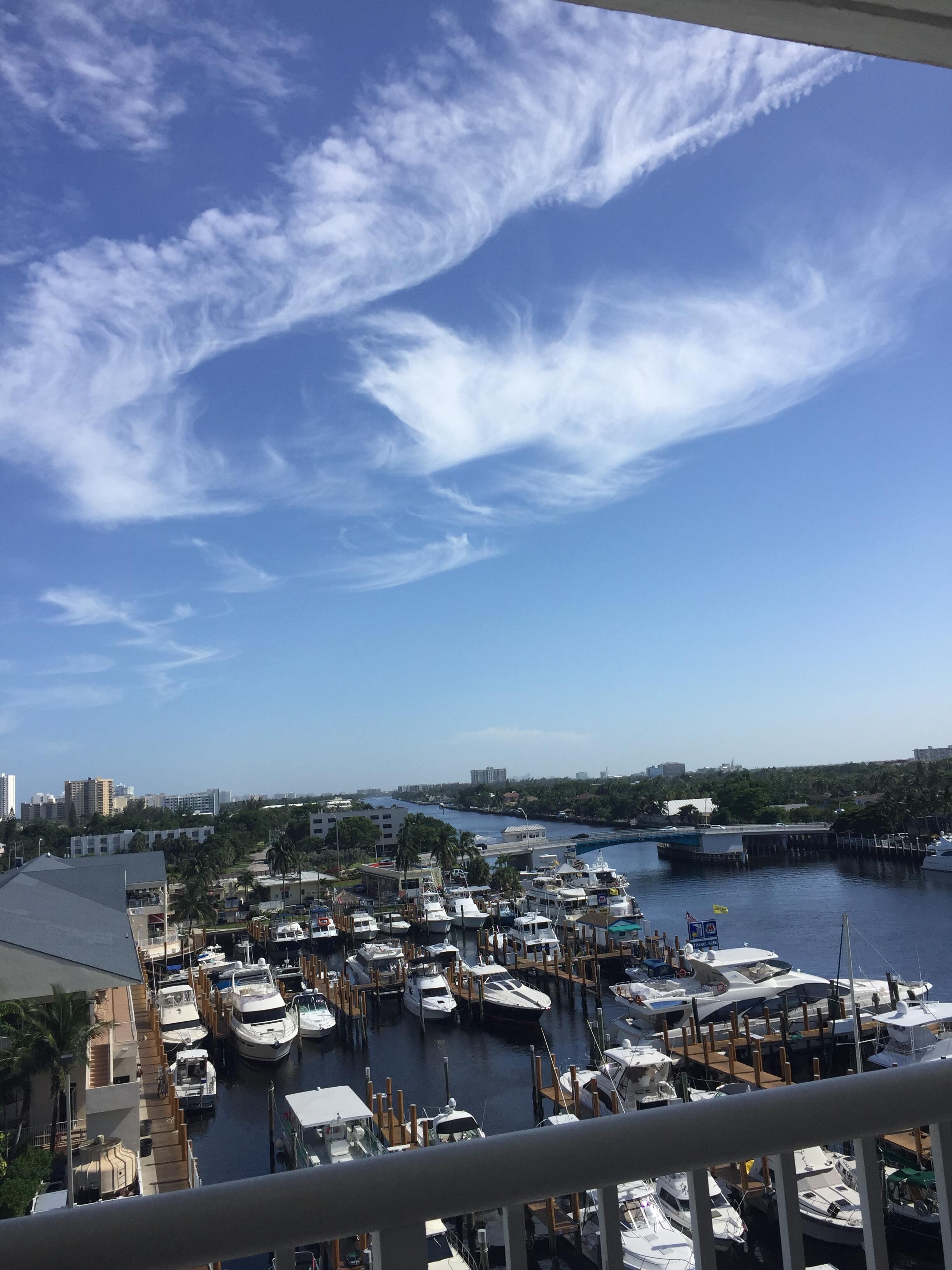 7th floor view of the harbor