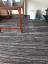 Flecken am Teppichboden