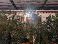 Restaurant at the Terace