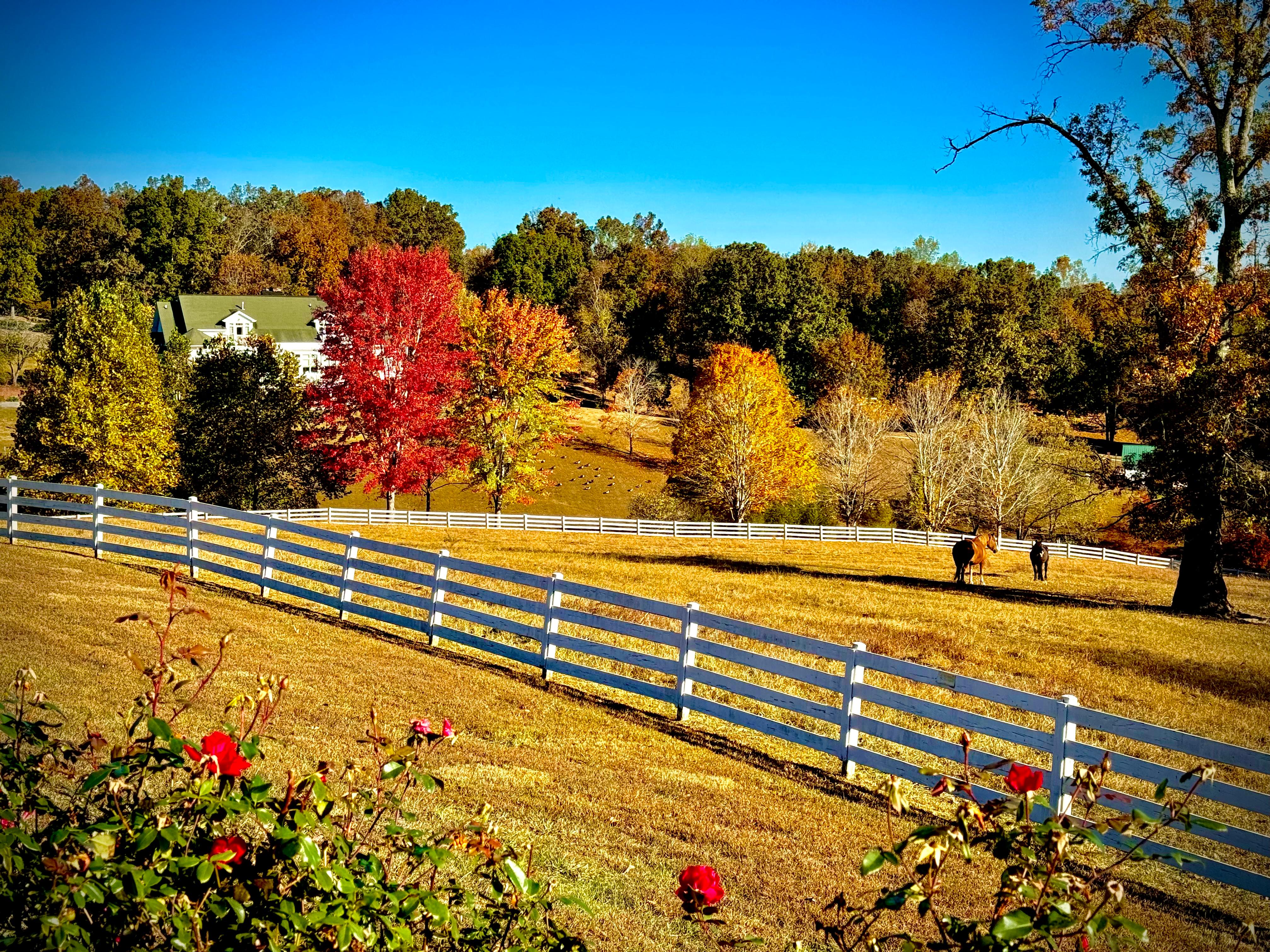 Serene walk around the property