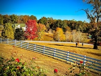 Serene walk around the property
