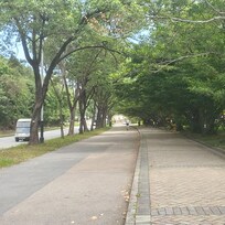 A relaxing walk from hotel to Plaza.