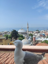 Vue depuis le restaurant