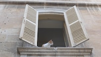 Sliema cat