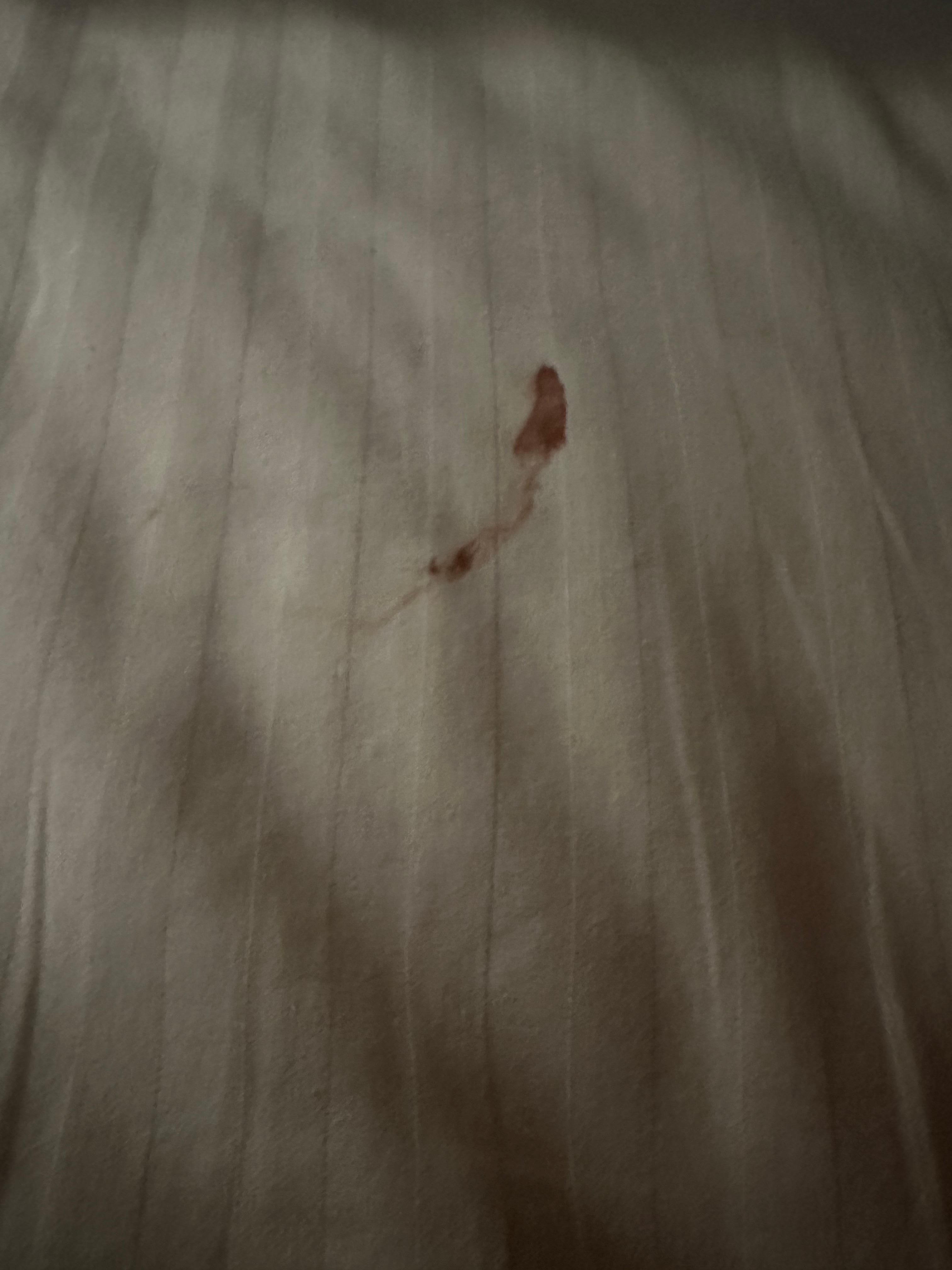 Blood on the sheets 