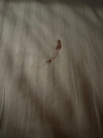 Blood on the sheets