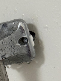 Handle in shower