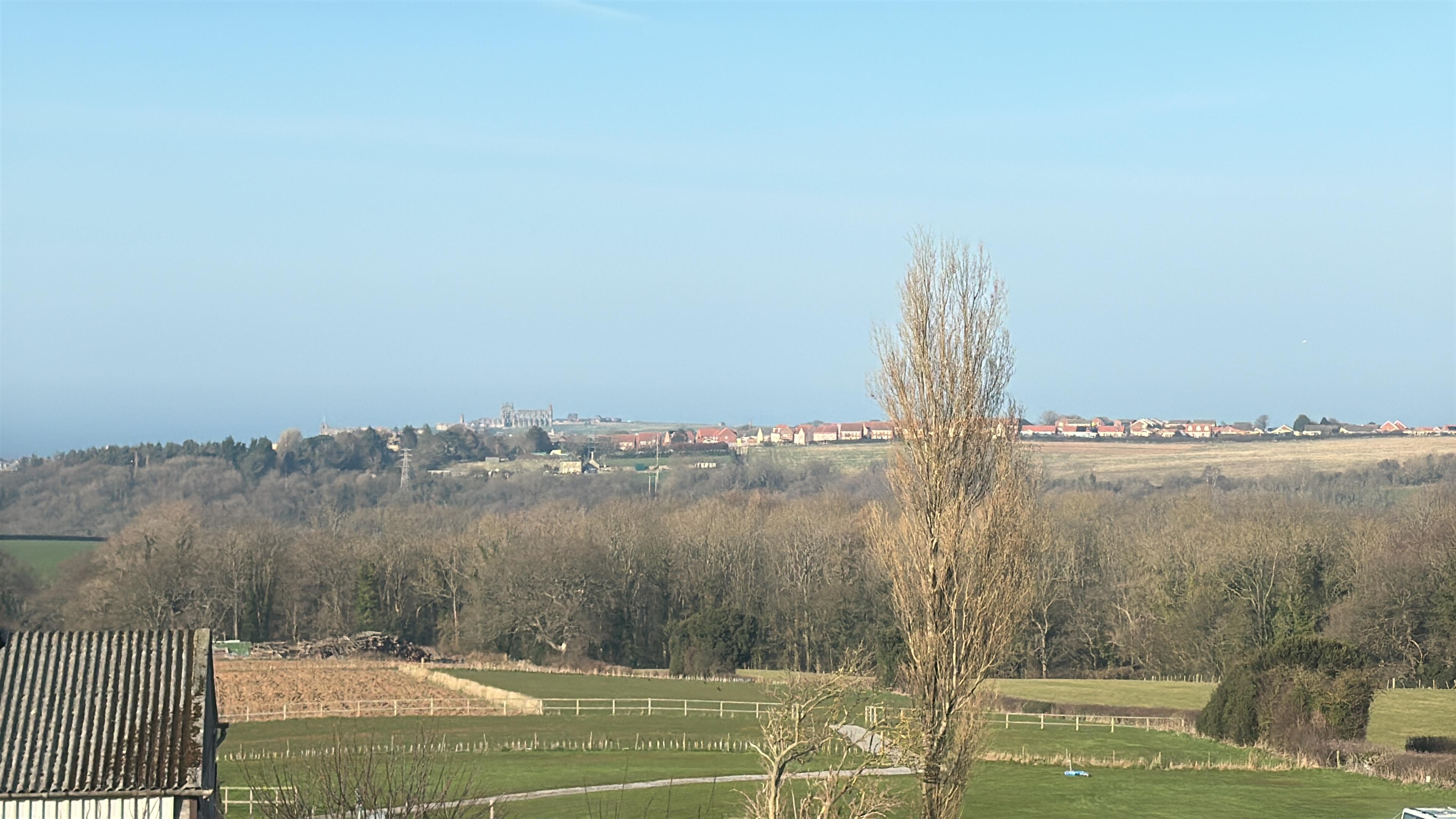 View from Room 6. 