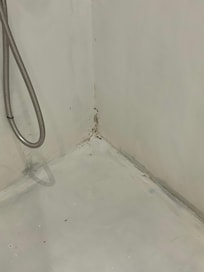 Joint de la douche
