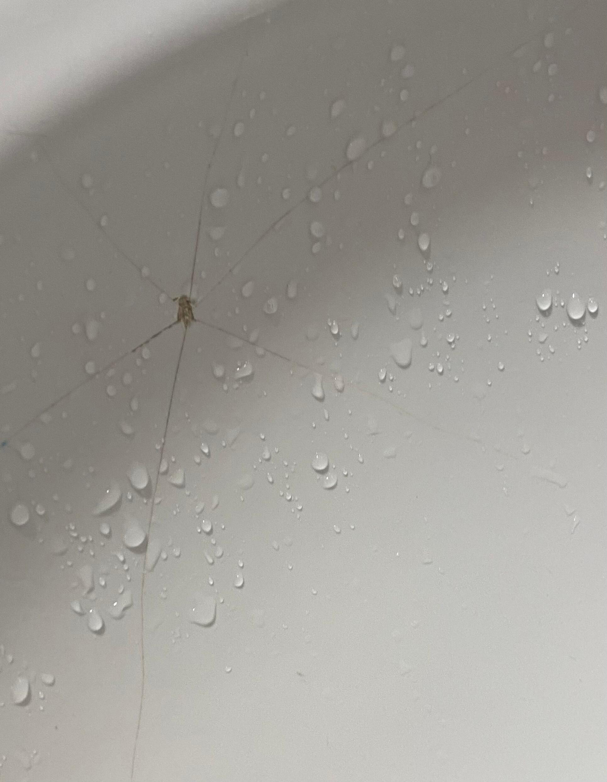 Sink cracked