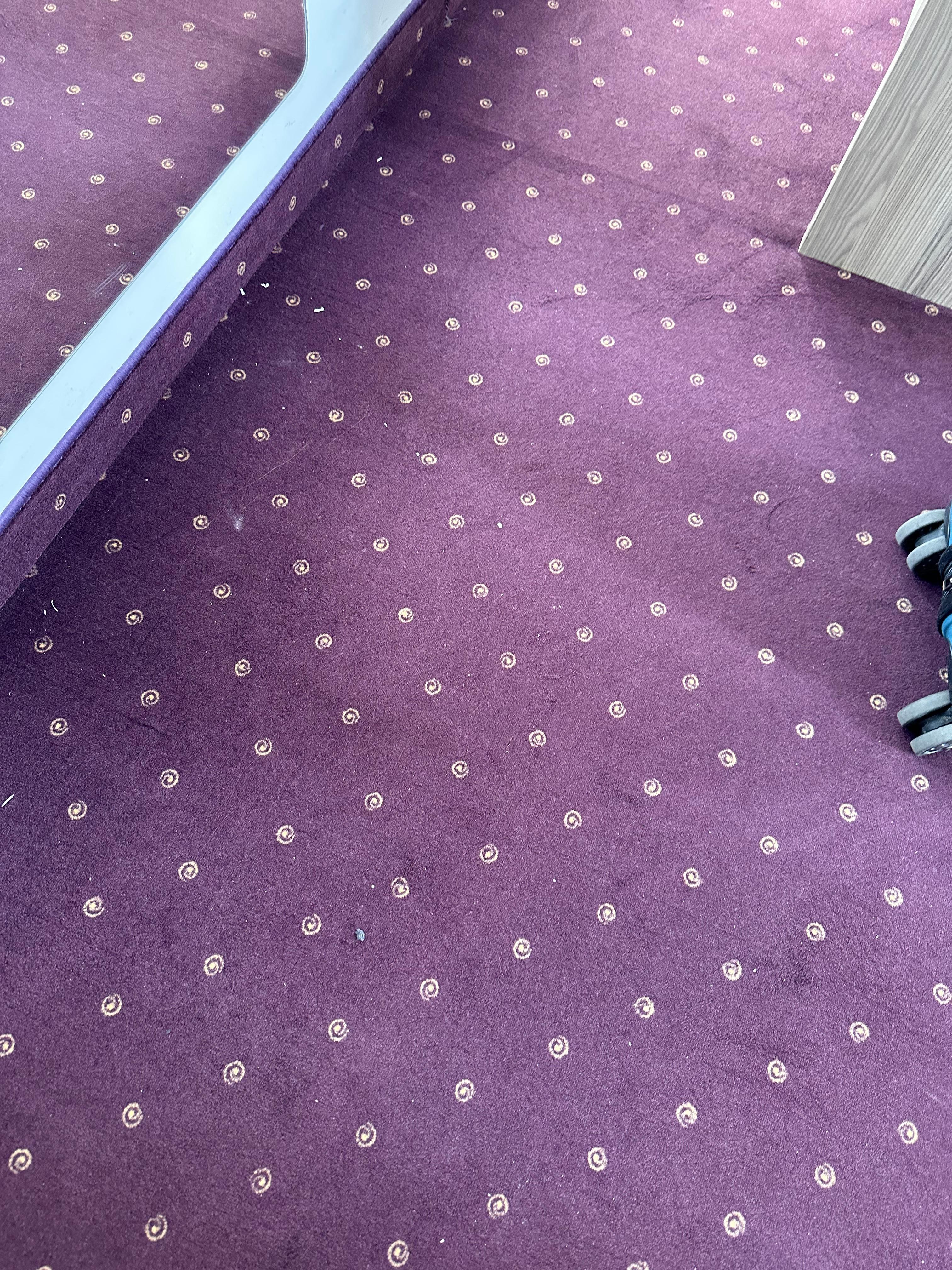 Carpet with dust