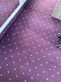 Carpet with dust