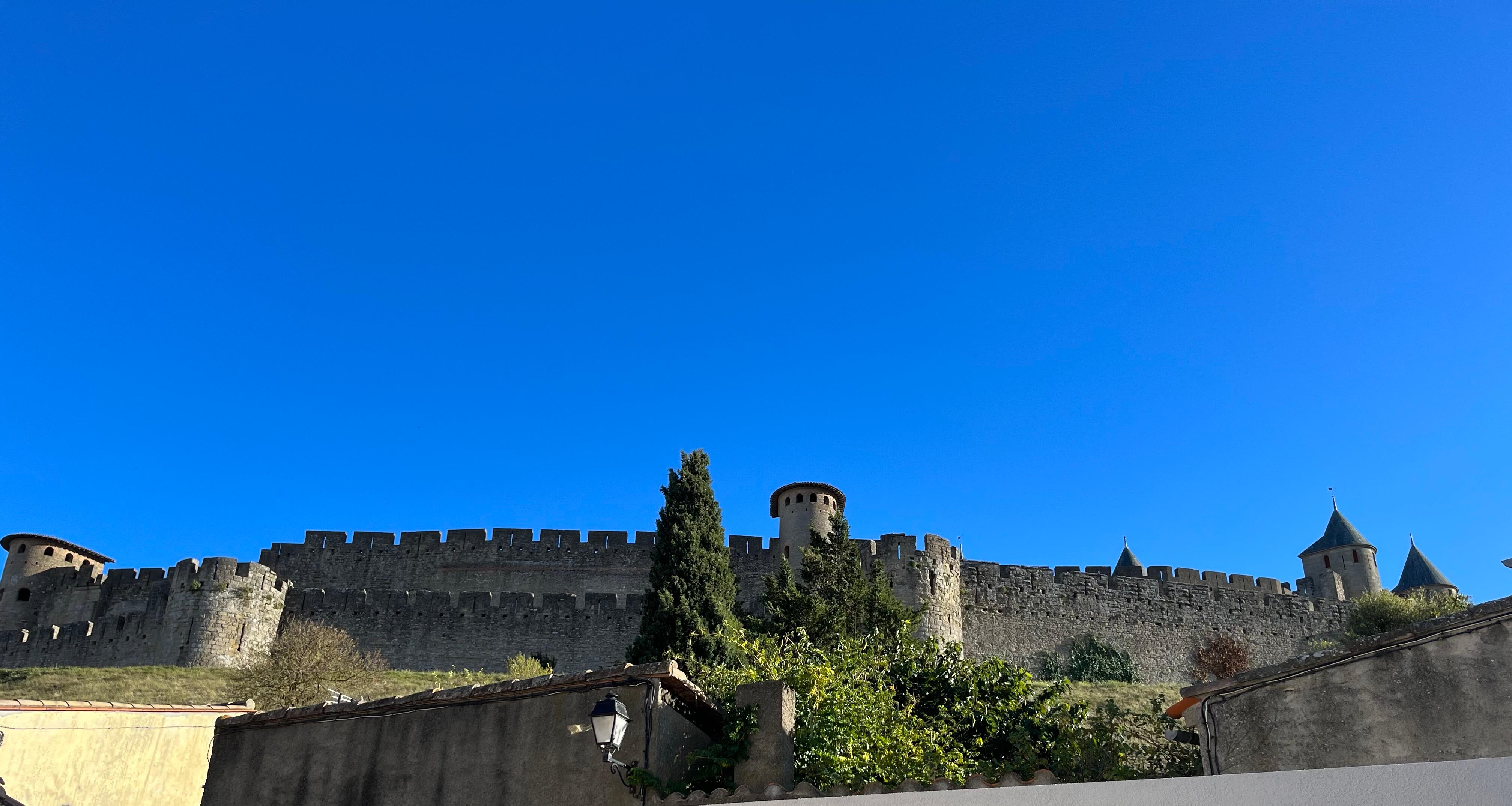 View from the patio

