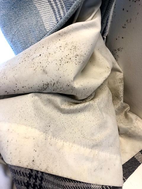 In the curtains as well, next to the bed.