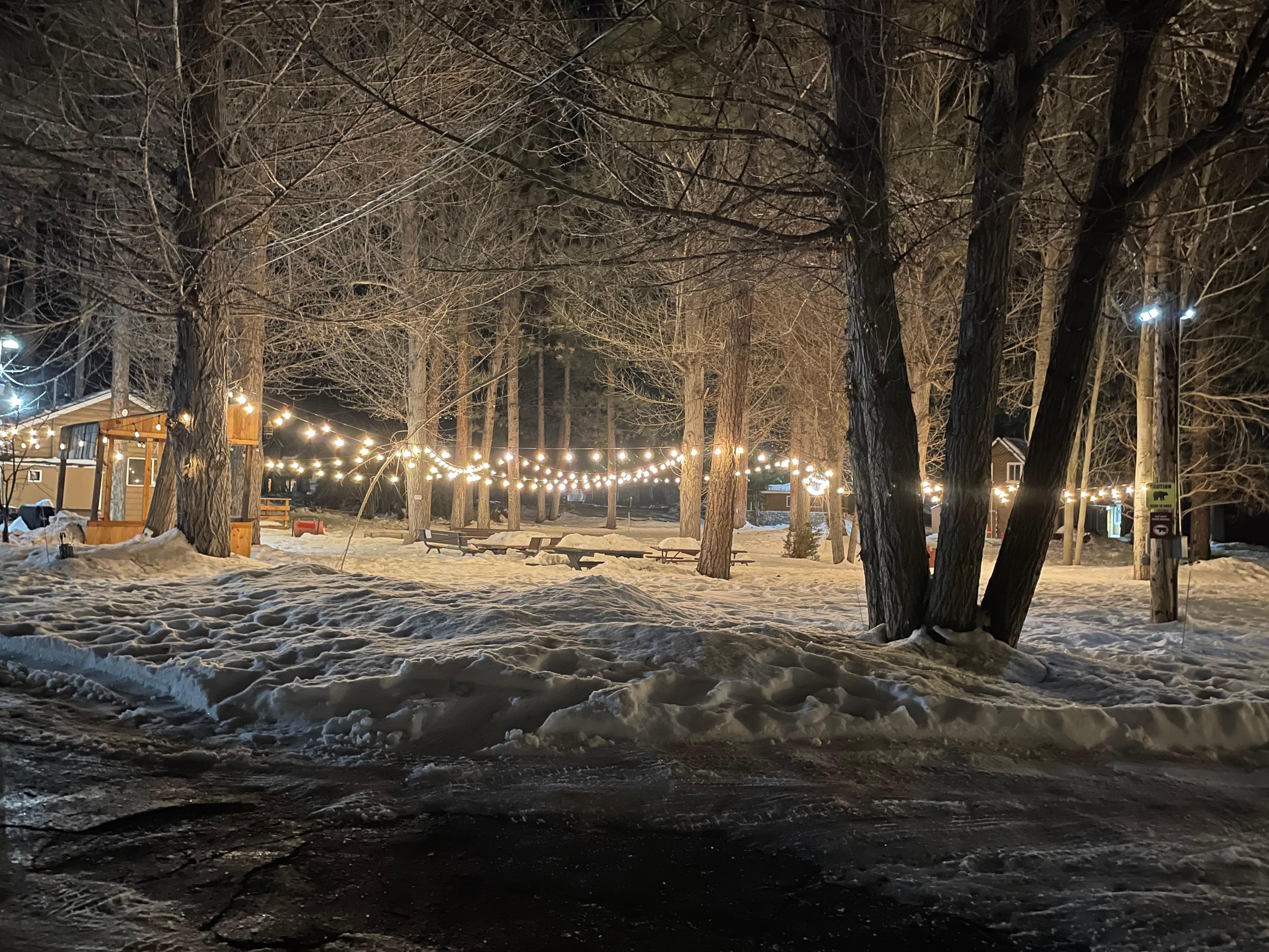 A great picnic area when there’s no snow!