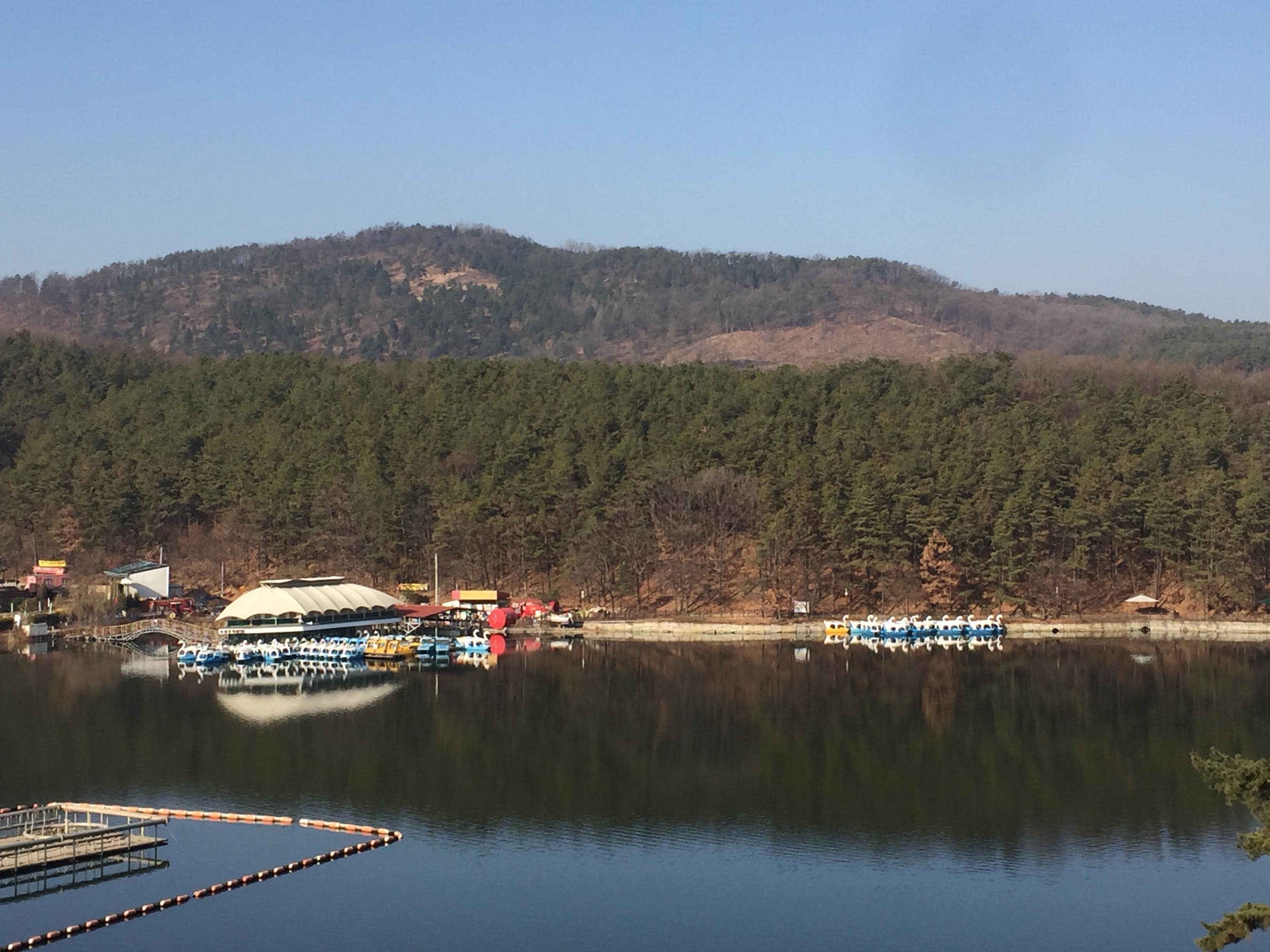 The first day of check in. 