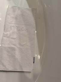 Jakuzide gördüğümüz böcek