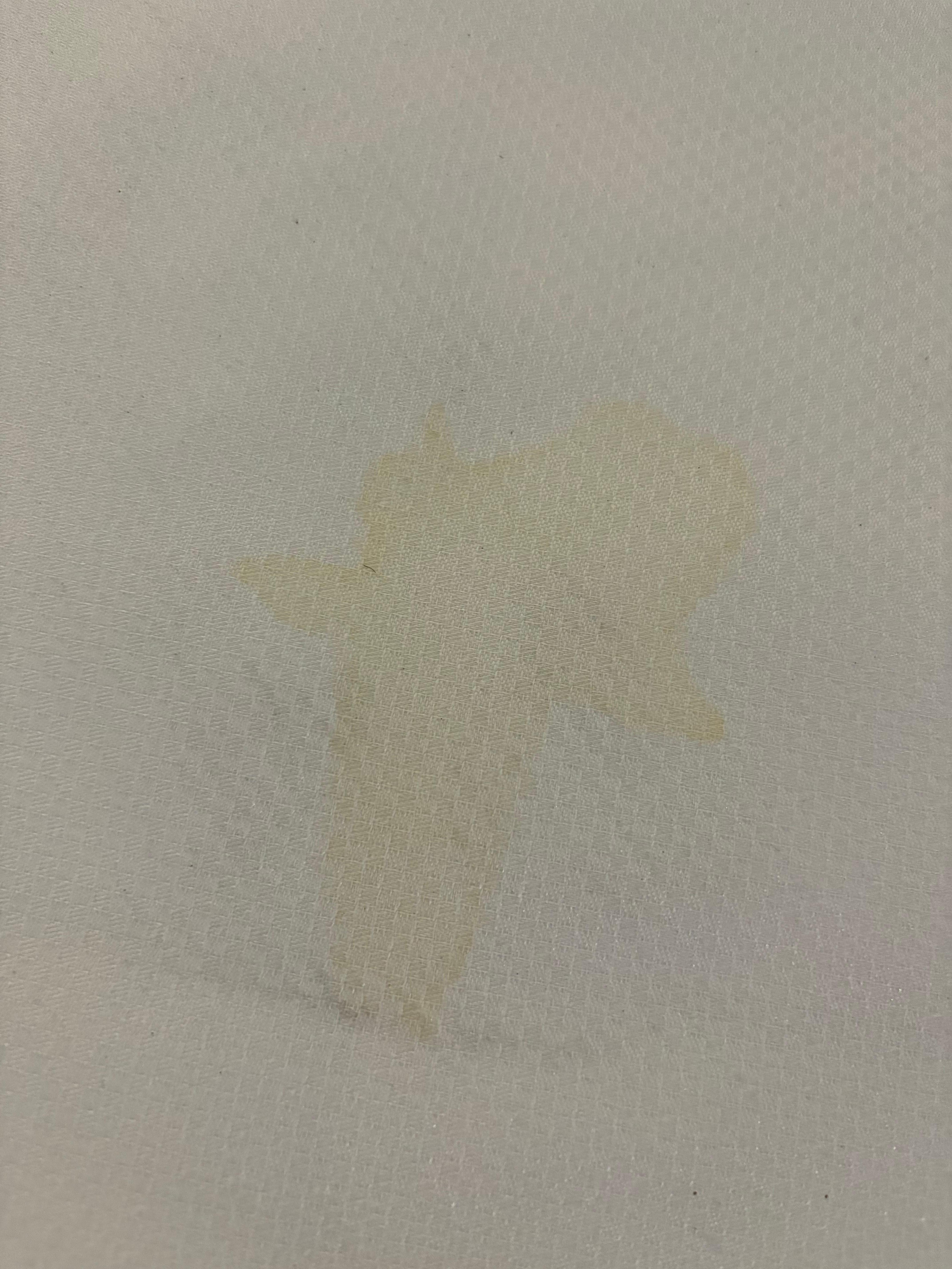 I don’t even want to know what this stain is 