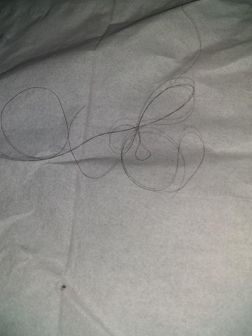 Hair I found in the room