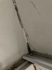 Moulds in bathroom