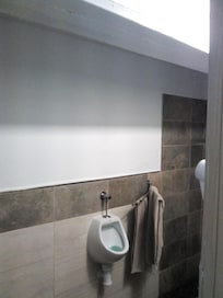 sensationnel ,un urinoir à quelques centimetres des serviettes , bonjour les odeurs , on a l'impression de toilettes publiques