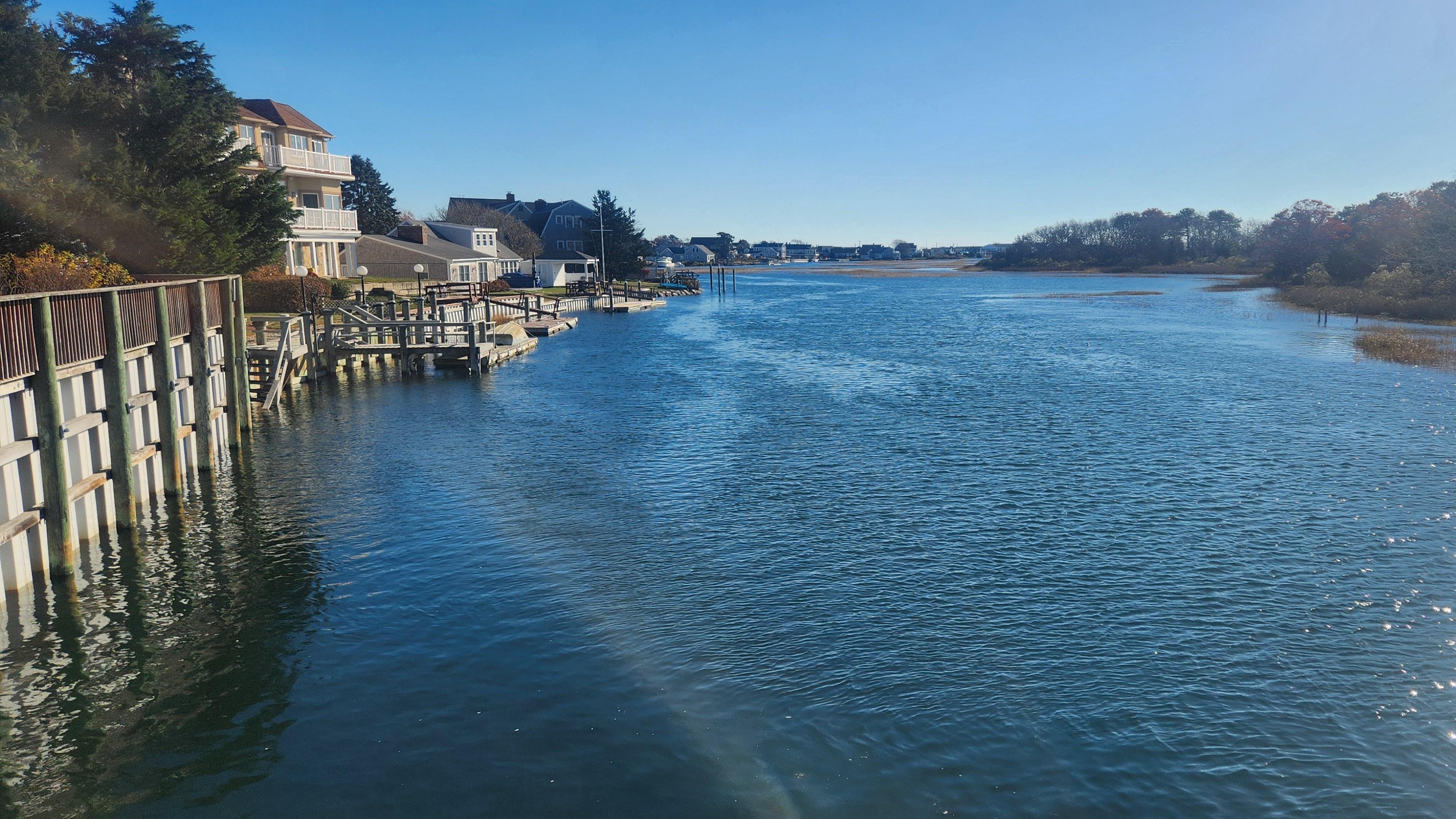 View of river from back yard 