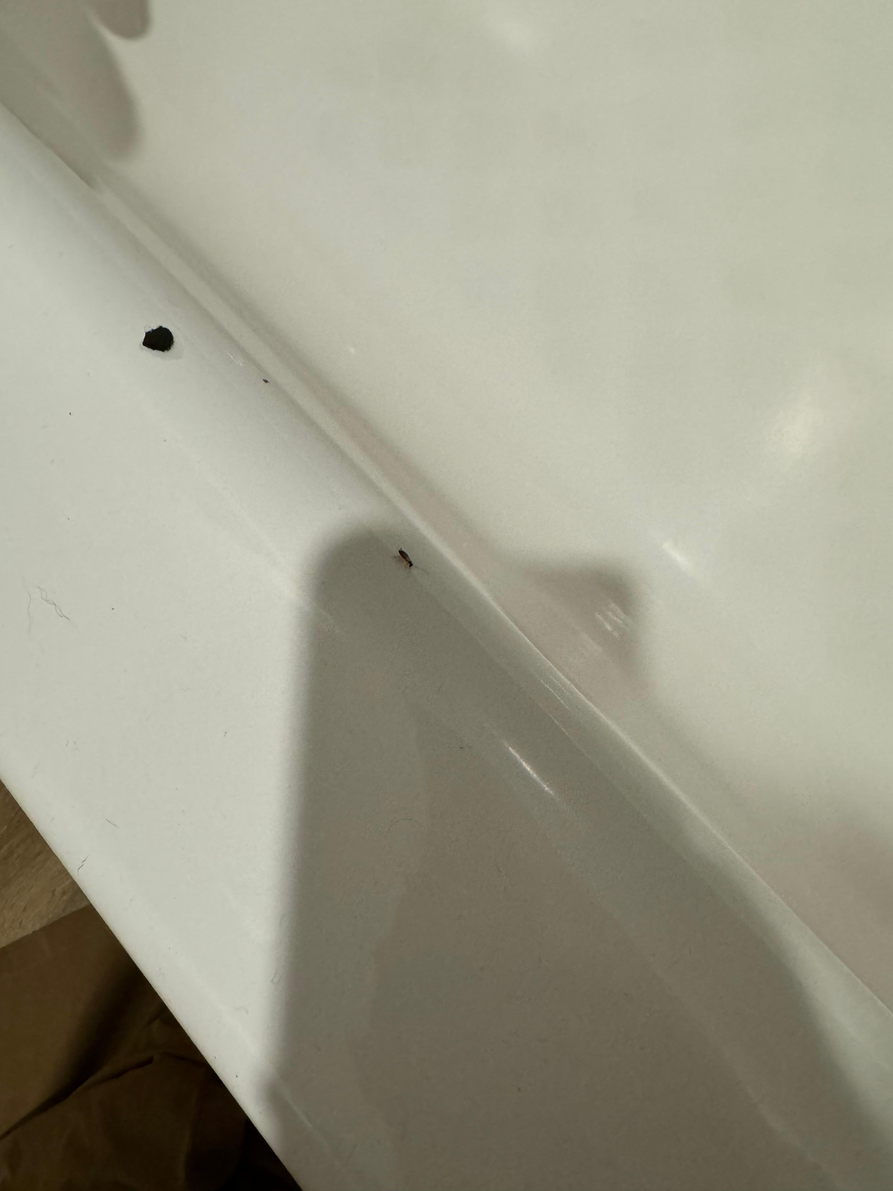 Heres a bug crawling on the bath tub. 