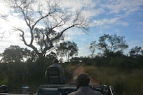 Afternoon game drive: let's go !