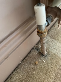 Appalling state of the radiator .