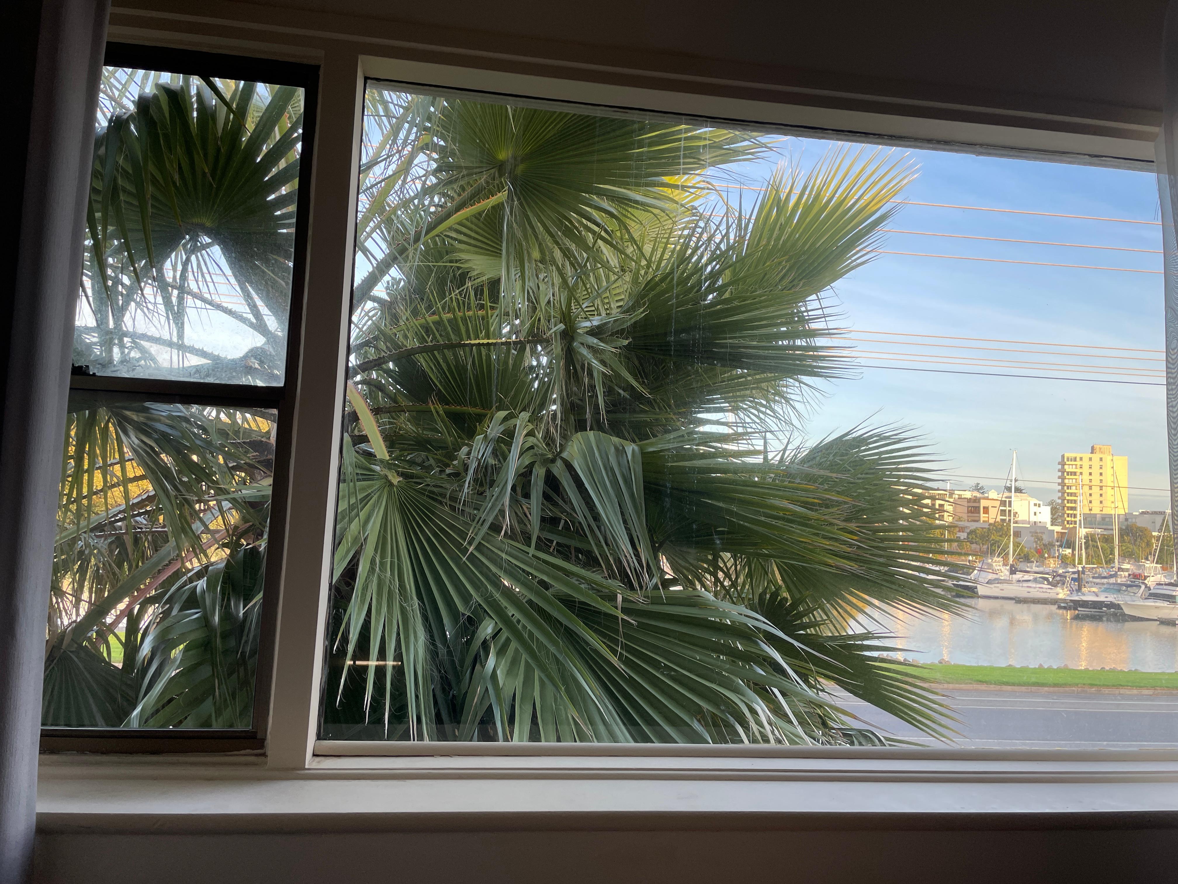 view size of the marina from the room window 