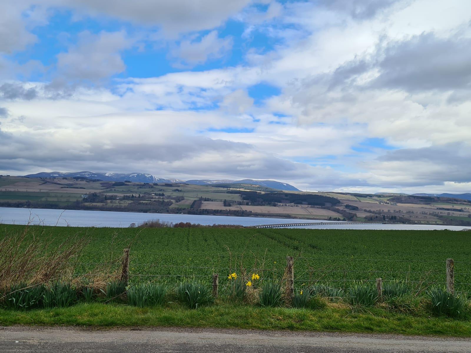 View from driveway