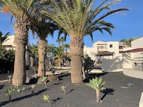 Different apartments