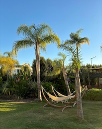 Très belle vegetation