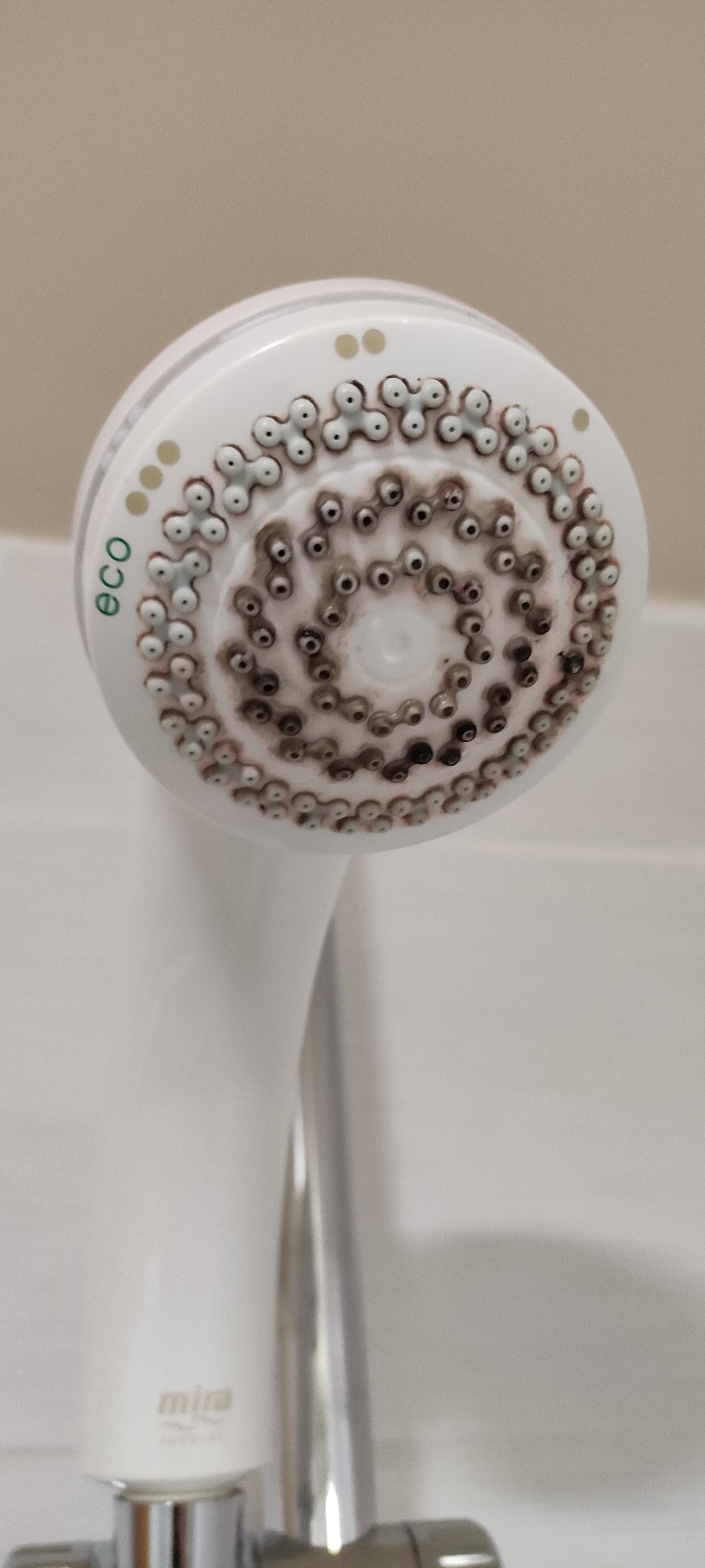 Mouldy Showerhead