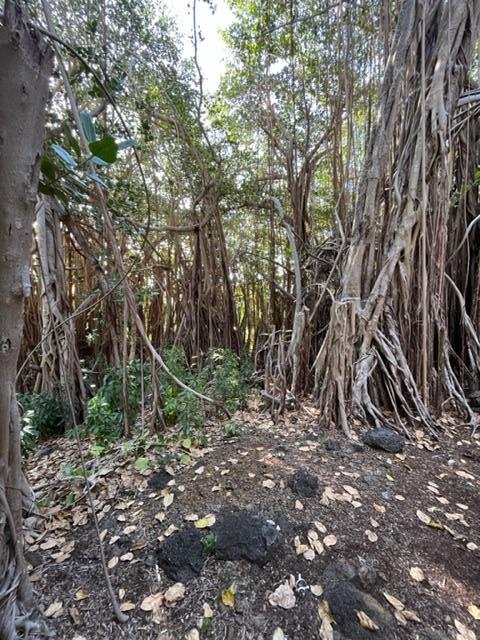 The Bayan Tree Bubble Lodge