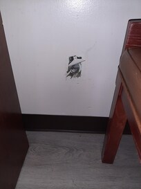 missing cover