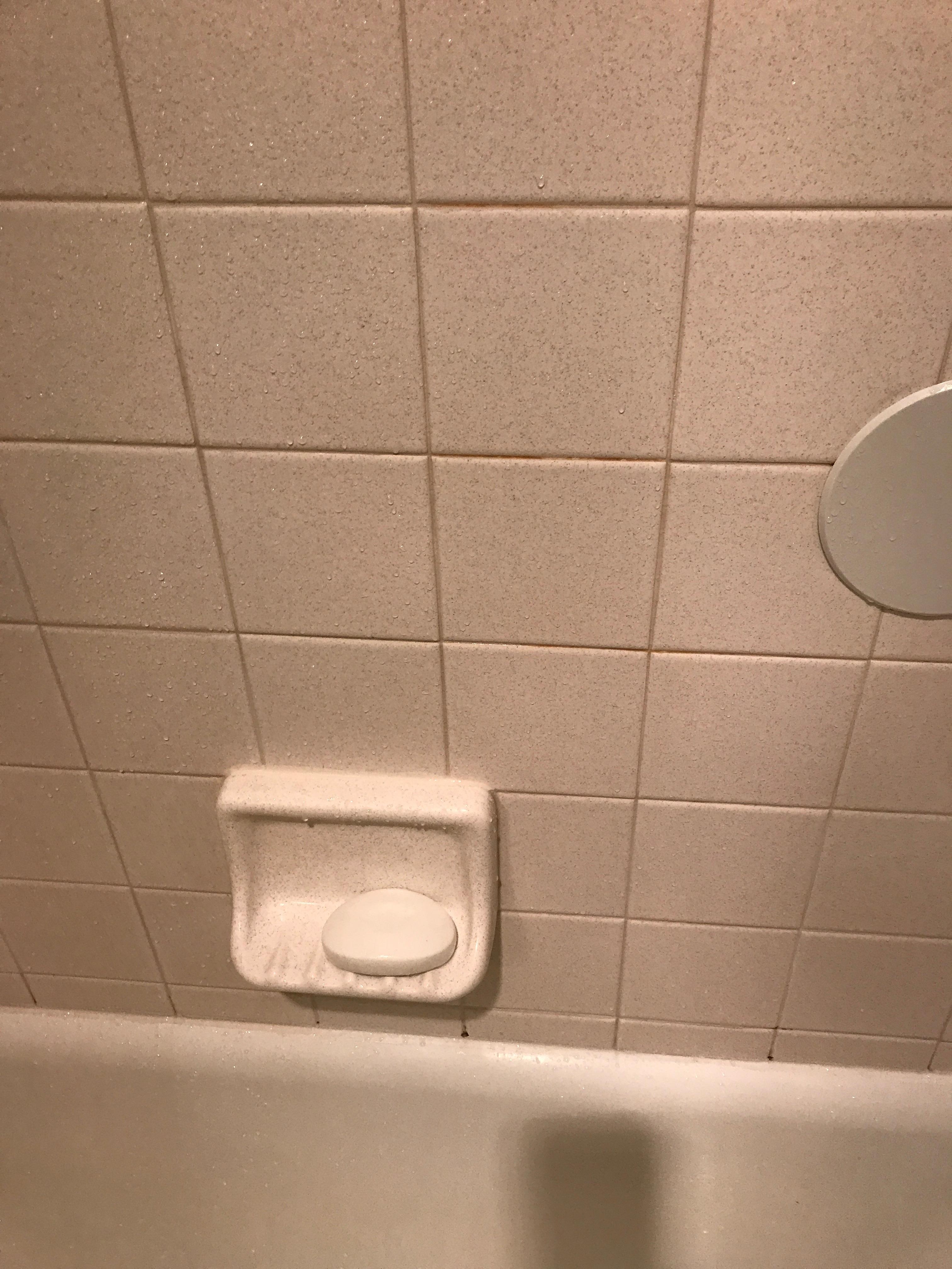 Mold and mildew