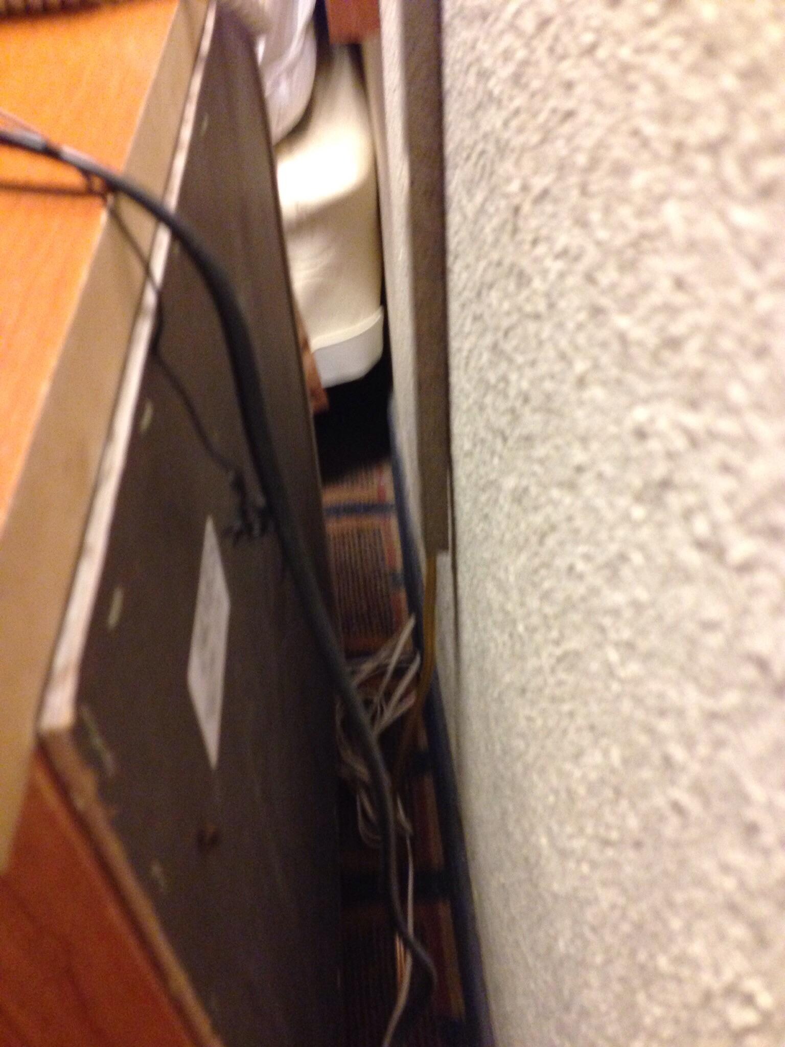 Roaches crawling around