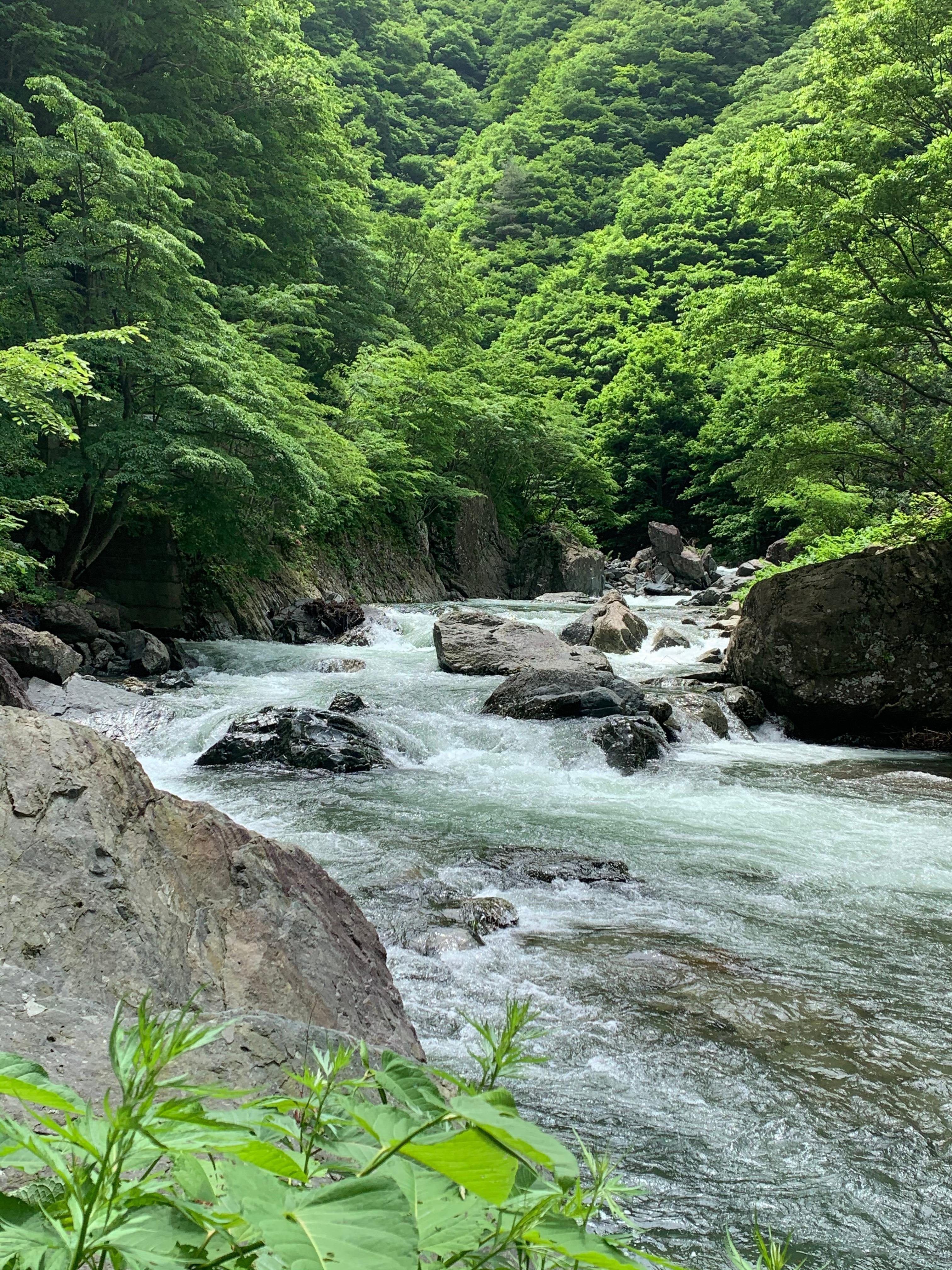 雫石近くの生内川です、日本一の渓流です