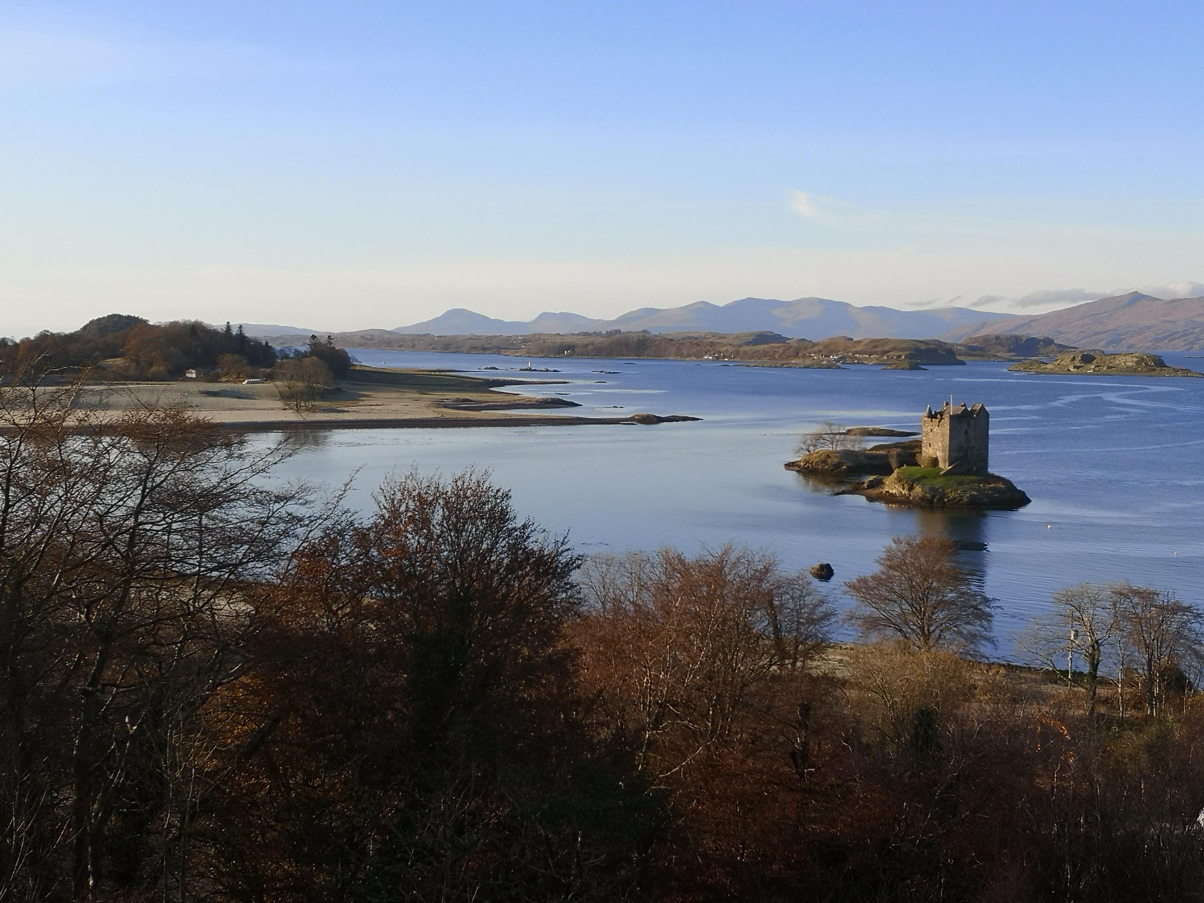 View from dining room