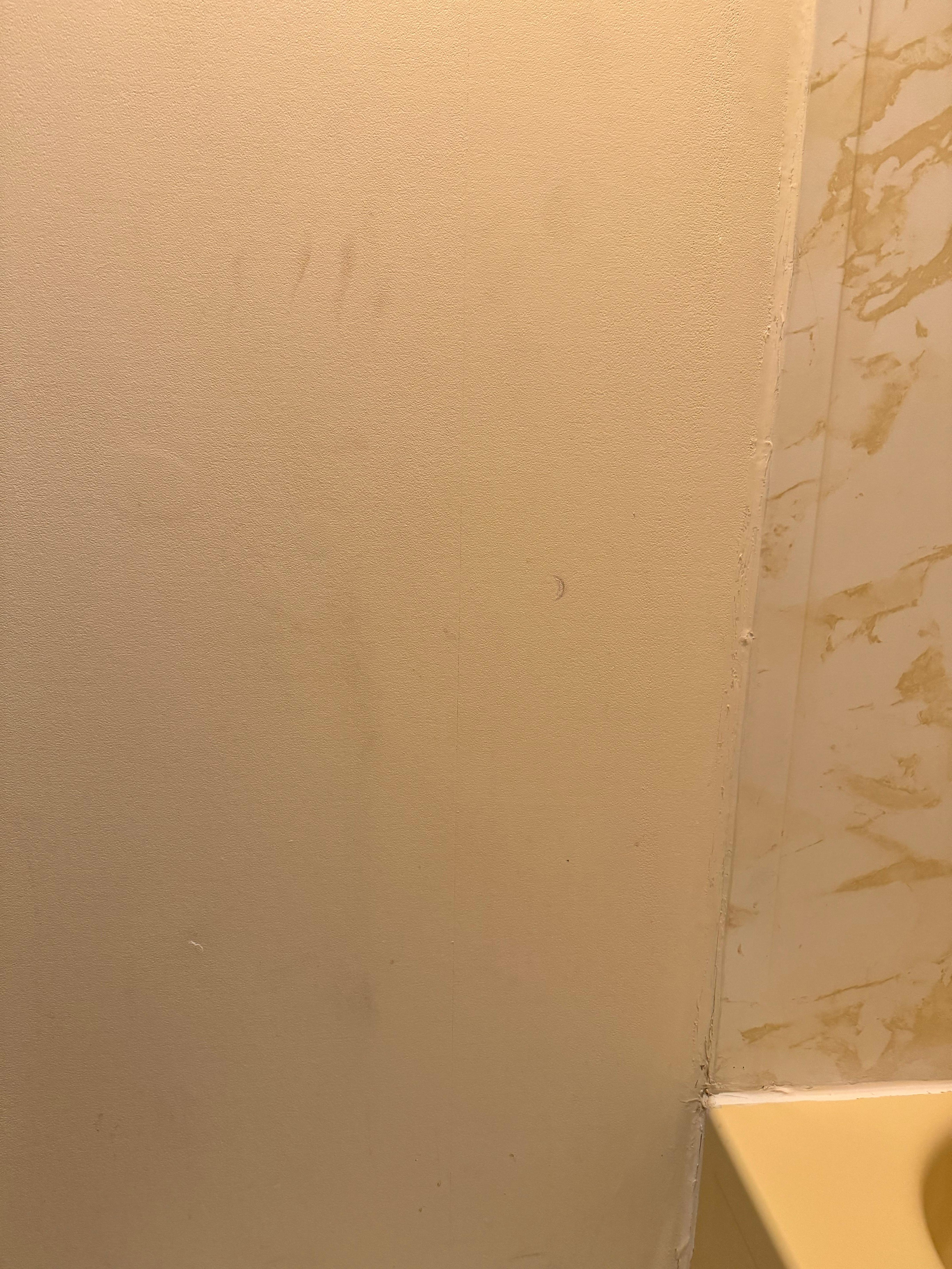 A paw mark on the wall disturbed me, what was on the persons hand to make that mark?