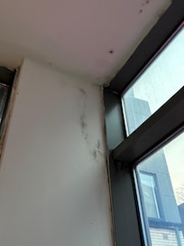 Mould, damp and dirty