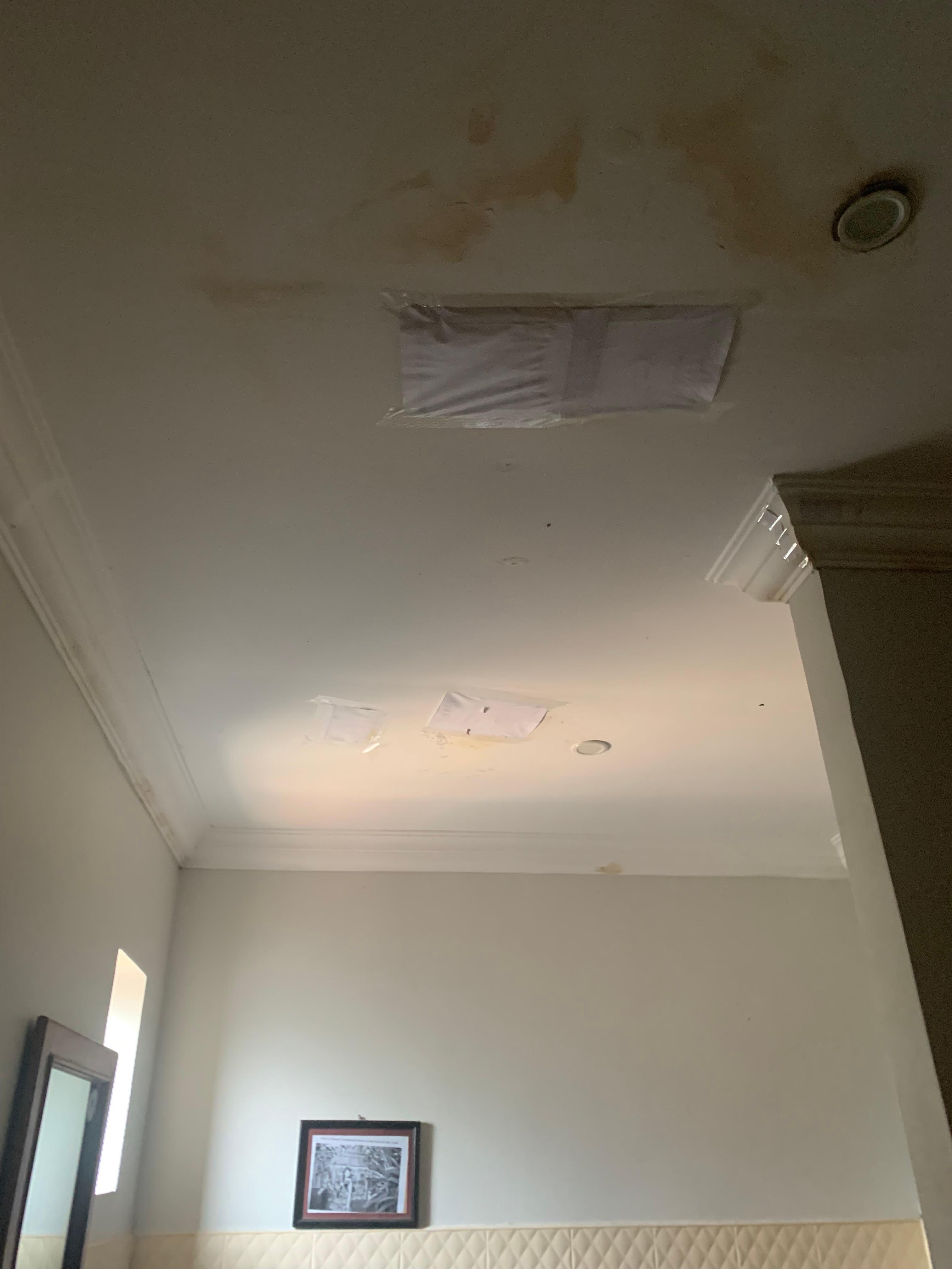 Bathroom ceiling