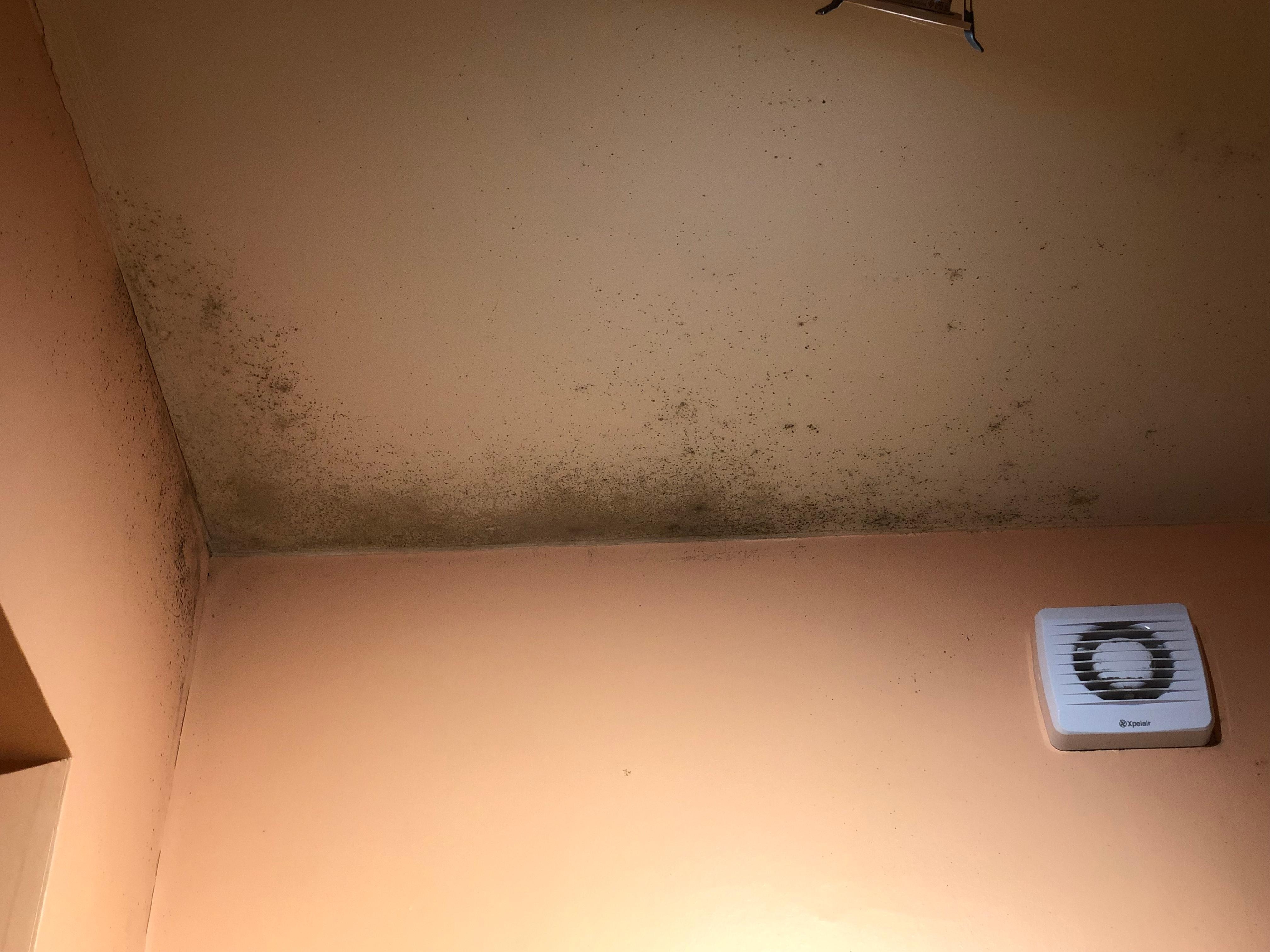 Mould